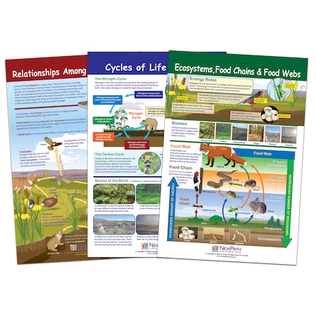 Newpath Learning Ecology Bulletin Board Chart Set, Grades 3-5 94-7007
